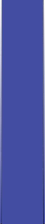 ivwebsite011011.jpg