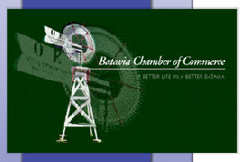 ivwebsite022006.jpg